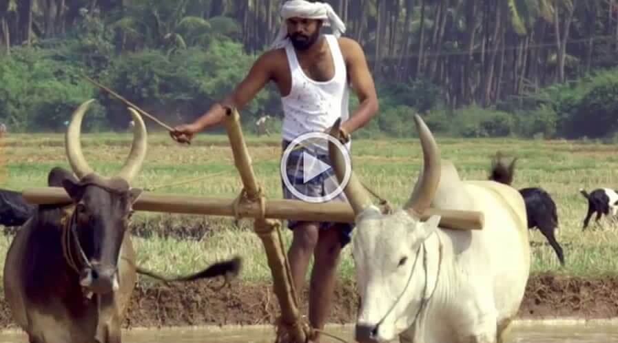  adfilms-in-pudukkottai